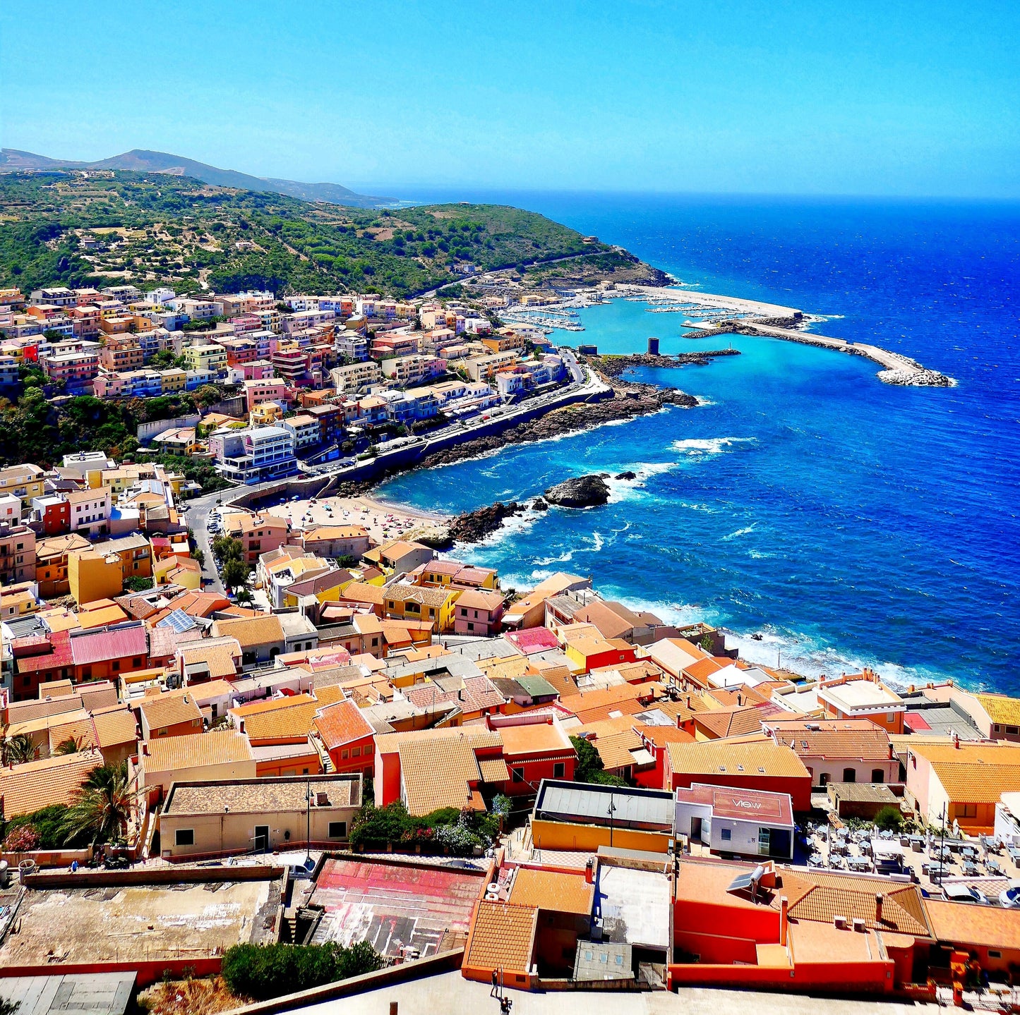 Linea Lusso Collection - Diffuser - Woods and Petals