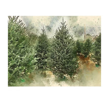 Load image into Gallery viewer, Winter Holiday -  White Pine Spruce &amp; Cedarwood 18 oz Soy Candle - Scents of Sicily Collection
